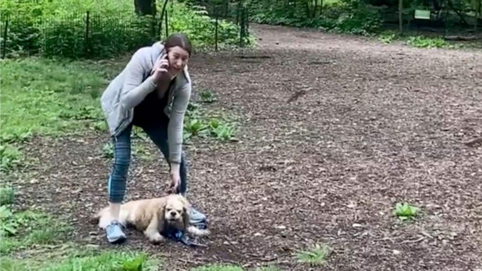 White woman who called the police on Central Park bird watcher will face charges.