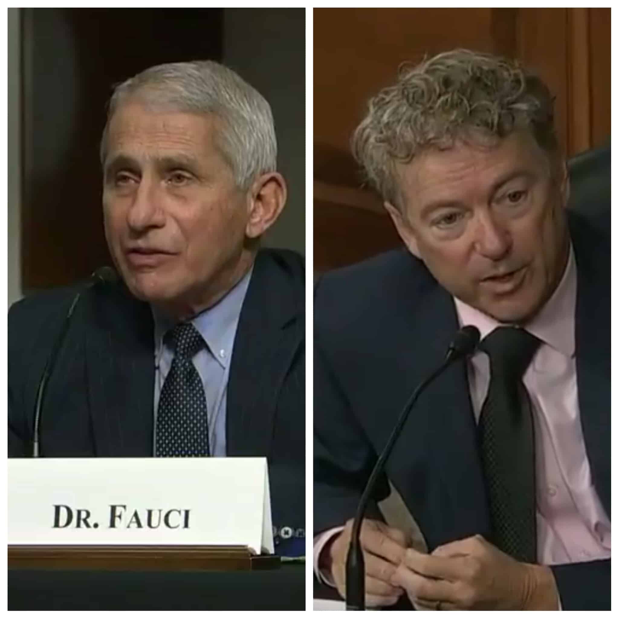 Dr. Fauci, Rand Paul clash at Senate hearing.