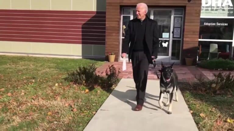 President-elect Biden to be examined by an orthopedist after twisting his ankle.