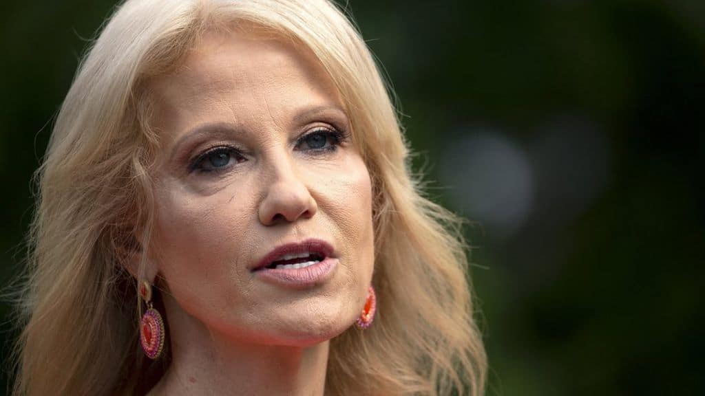 Kellyanne Conway: "It looks like Joe Biden and Kamala Harris will prevail": REPORT