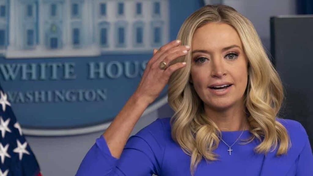 Kayleigh McEnany is offended that the incoming deputy chief of staff swore.