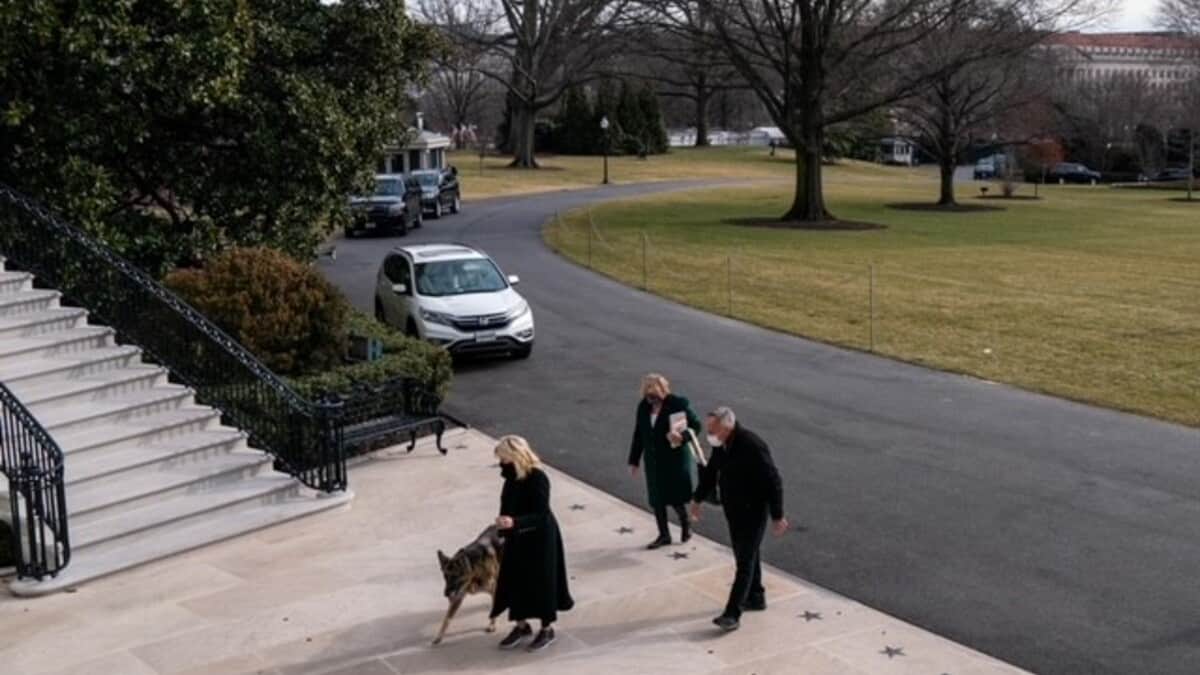 Champ and Major Biden as moves into the White House.