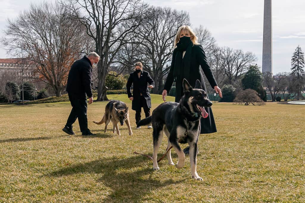 First dogs will return to the White House soon, Psaki says.