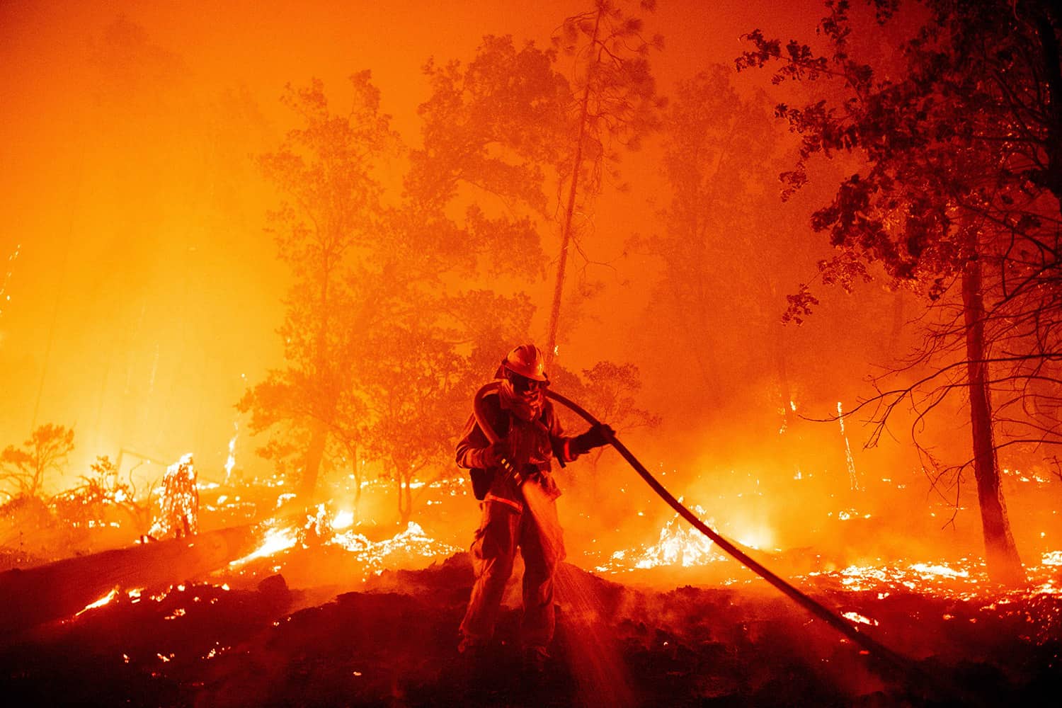 California couple charged after gender reveal party caused wildfire.