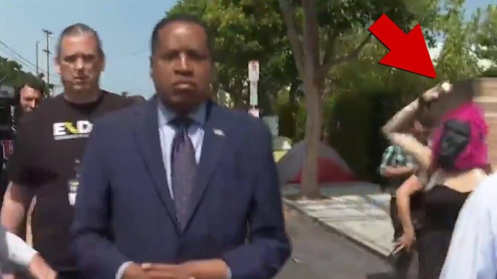 Larry Elder cuts campaign event short after someone threw an egg at him: Report.