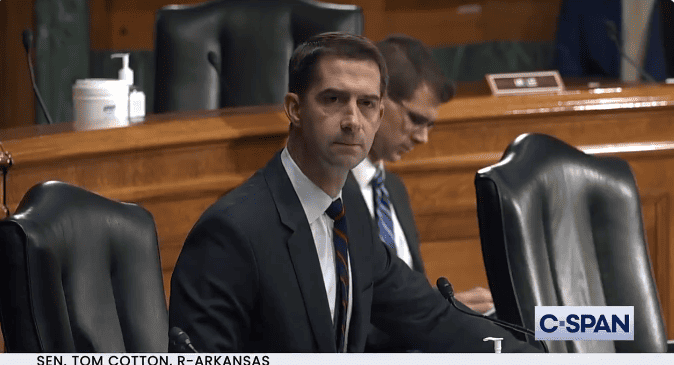 Cotton to Garland: 'Thank God you're not on the Supreme Court'