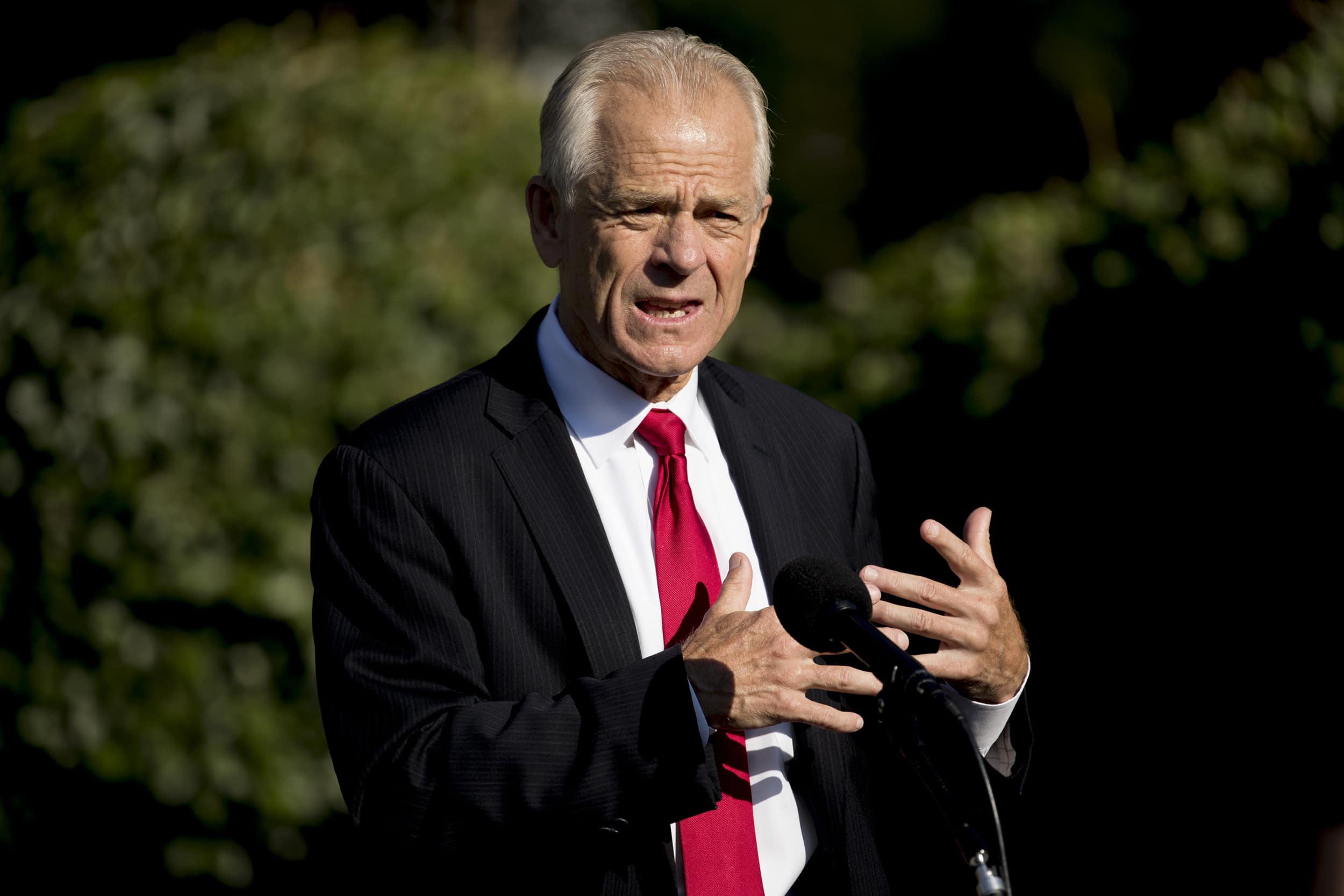Peter Navarro suggests Jared Kushner faked his cancer diagnosis for sympathy to sell his memoir.