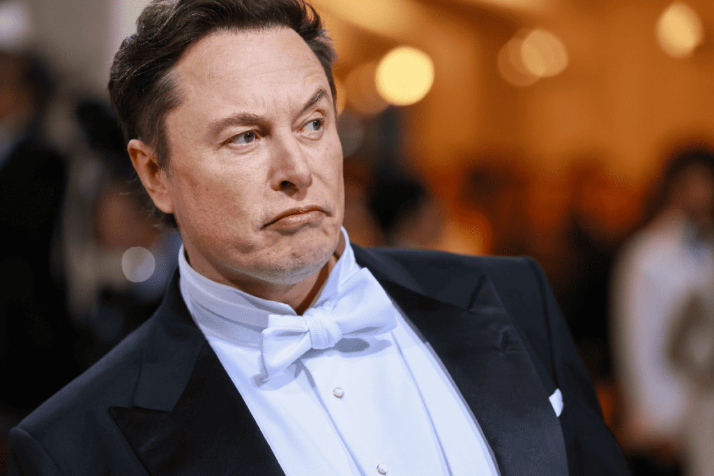 Musk did not vote in the midterms after telling his fans to support Republicans, report says.