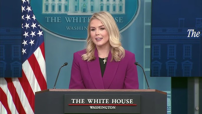 Press secretary unsure about whether Musk passed a background check or has security clearance.