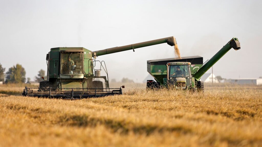 Farmers who voted for Trump are having buyer’s remorse: “We did not vote for this.”