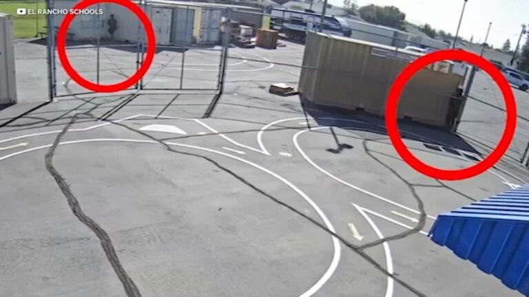 ICE agents caught on video urinating in school parking lot in public view